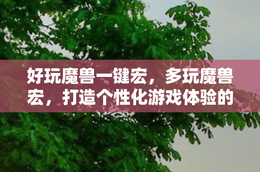 好玩魔兽一键宏,多玩魔兽宏,打造个性化游戏体验的利器 好玩魔兽一键宏,多玩魔兽宏,打造个性化游戏体验的利器