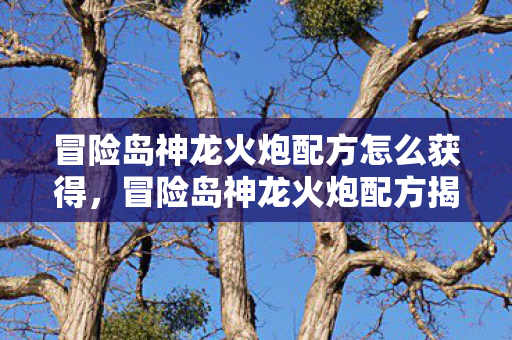 冒险岛神龙火炮配方怎么获得，冒险岛神龙火炮配方揭秘，打造传奇武器的秘密