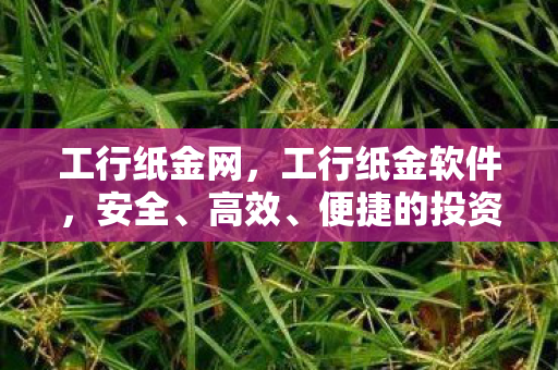 工行纸金网,工行纸金软件,安全、高效、便捷的投资利器 工行纸金网,工行纸金软件,安全、高效、便捷的投资利器
