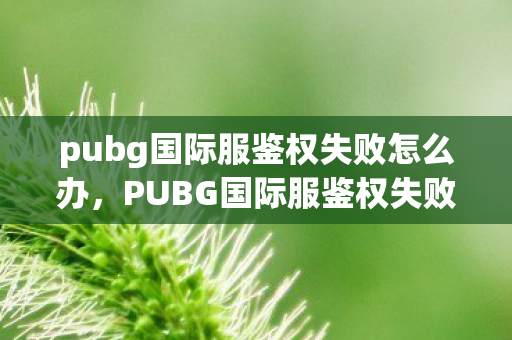 pubg国际服鉴权失败怎么办,PUBG国际服鉴权失败,解锁你的游戏之旅的绊脚石 pubg国际服鉴权失败怎么办,PUBG国际服鉴权失败,解锁你的游戏之旅的绊脚石