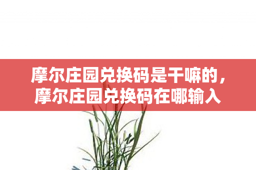 摩尔庄园兑换码是干嘛的,摩尔庄园兑换码在哪输入 摩尔庄园兑换码是干嘛的,摩尔庄园兑换码在哪输入