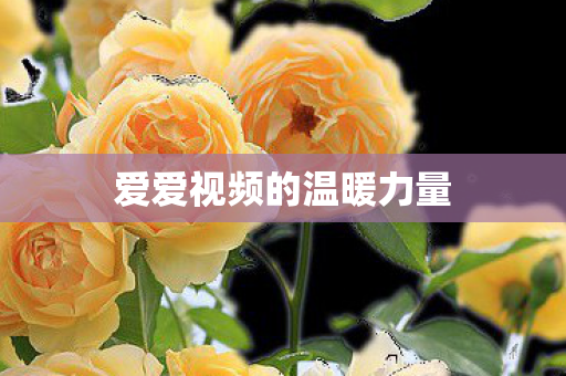 爱爱视频的温暖力量 爱爱视频的温暖力量