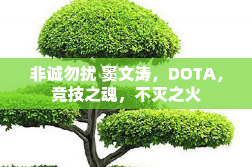 非诚勿扰 窦文涛,DOTA,竞技之魂,不灭之火 非诚勿扰 窦文涛,DOTA,竞技之魂,不灭之火