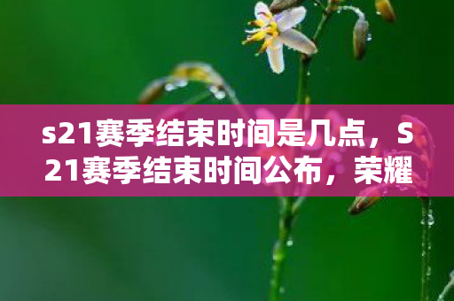 s21赛季结束时间是几点，S21赛季结束时间公布，荣耀之战即将落幕
