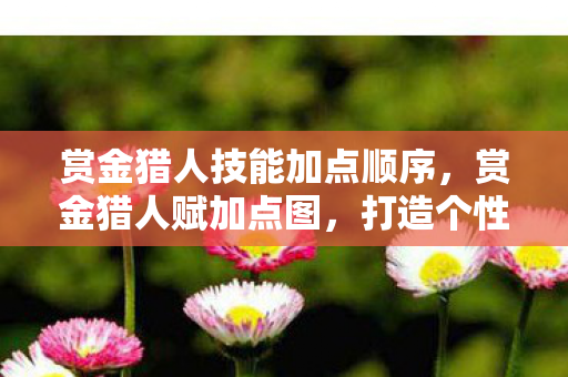 赏金猎人技能加点顺序，赏金猎人赋加点图，打造个性化角色，探索无限可能