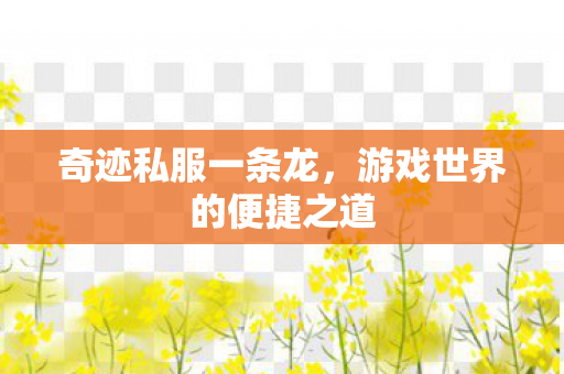 奇迹私服一条龙，游戏世界的便捷之道