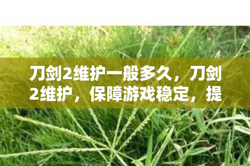 刀剑2维护一般多久,刀剑2维护,保障游戏稳定,提升玩家体验 刀剑2维护一般多久,刀剑2维护,保障游戏稳定,提升玩家体验