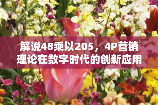 解说48乘以205,4P营销理论在数字时代的创新应用 解说48乘以205,4P营销理论在数字时代的创新应用