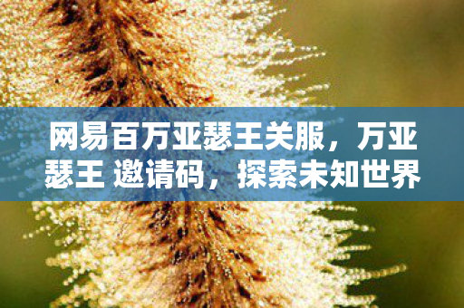 网易百万亚瑟王关服,万亚瑟王 邀请码,探索未知世界的神秘钥匙 网易百万亚瑟王关服,万亚瑟王 邀请码,探索未知世界的神秘钥匙