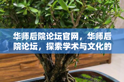 华师后院论坛官网,华师后院论坛,探索学术与文化的深度交汇 华师后院论坛官网,华师后院论坛,探索学术与文化的深度交汇