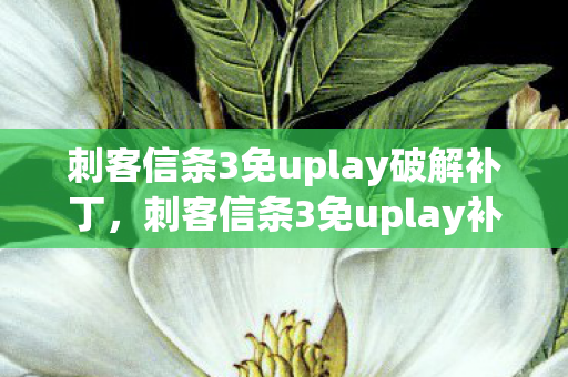 刺客信条3免uplay破解补丁,刺客信条3免uplay补丁,解锁游戏新体验 刺客信条3免uplay破解补丁,刺客信条3免uplay补丁,解锁游戏新体验