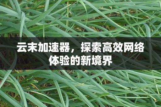 云末加速器,探索高效网络体验的新境界 云末加速器,探索高效网络体验的新境界