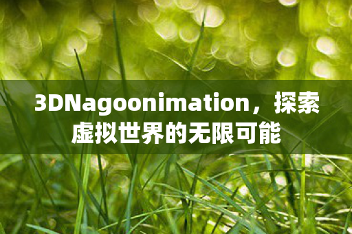 3DNagoonimation，探索虚拟世界的无限可能
