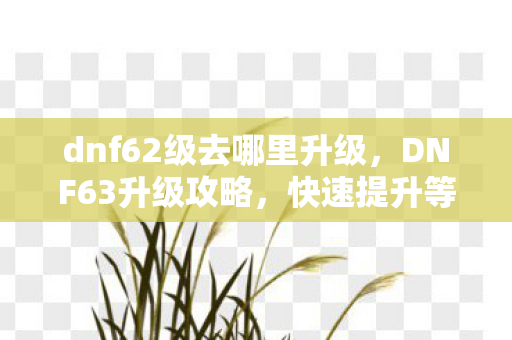 dnf62级去哪里升级,DNF63升级攻略,快速提升等级的途径 dnf62级去哪里升级,DNF63升级攻略,快速提升等级的途径