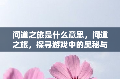 问道之旅是什么意思,问道之旅,探寻游戏中的奥秘与乐趣 问道之旅是什么意思,问道之旅,探寻游戏中的奥秘与乐趣