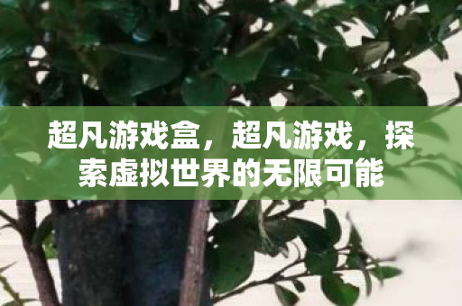 超凡游戏盒,超凡游戏,探索虚拟世界的无限可能 超凡游戏盒,超凡游戏,探索虚拟世界的无限可能