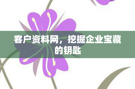 客户资料网,挖掘企业宝藏的钥匙 客户资料网,挖掘企业宝藏的钥匙
