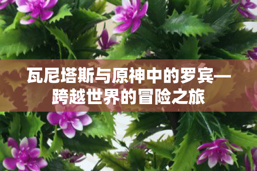 瓦尼塔斯与原神中的罗宾—跨越世界的冒险之旅 瓦尼塔斯与原神中的罗宾—跨越世界的冒险之旅