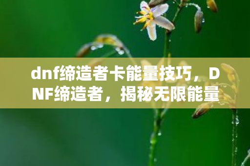 dnf缔造者卡能量技巧，DNF缔造者，揭秘无限能量BUG的真相