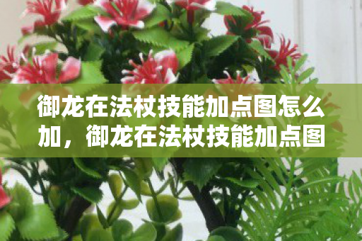 御龙在法杖技能加点图怎么加，御龙在法杖技能加点图，打造最强法师的攻略