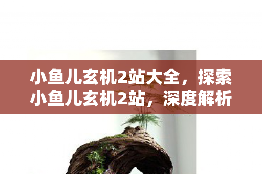 小鱼儿玄机2站大全,探索小鱼儿玄机2站,深度解析其魅力与特色 小鱼儿玄机2站大全,探索小鱼儿玄机2站,深度解析其魅力与特色