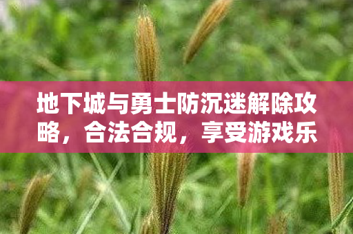 地下城与勇士防沉迷解除攻略,合法合规,享受游戏乐趣 地下城与勇士防沉迷解除攻略,合法合规,享受游戏乐趣