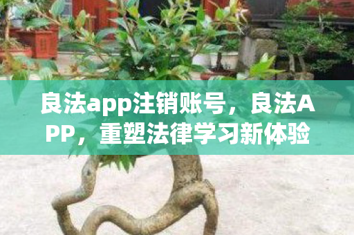 良法app注销账号，良法APP，重塑法律学习新体验