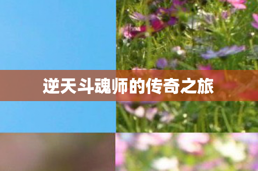 逆天斗魂师的传奇之旅 逆天斗魂师的传奇之旅