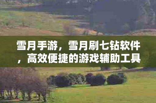 雪月手游,雪月刷七钻软件,高效便捷的游戏辅助工具 雪月手游,雪月刷七钻软件,高效便捷的游戏辅助工具