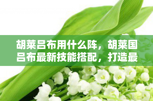 胡莱吕布用什么阵,胡莱国吕布最新技能搭配,打造最强战斗力的策略指南 胡莱吕布用什么阵,胡莱国吕布最新技能搭配,打造最强战斗力的策略指南