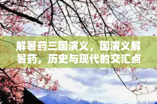 解暑药三国演义,国演义解暑药,历史与现代的交汇点 解暑药三国演义,国演义解暑药,历史与现代的交汇点