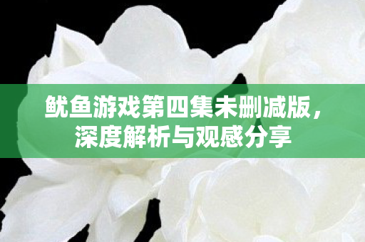 鱿鱼游戏第四集未删减版,深度解析与观感分享 鱿鱼游戏第四集未删减版,深度解析与观感分享