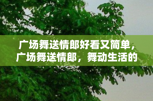 广场舞送情郎好看又简单,广场舞送情郎,舞动生活的浪漫与激情 广场舞送情郎好看又简单,广场舞送情郎,舞动生活的浪漫与激情