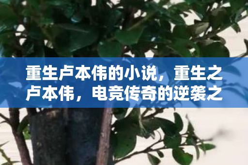 重生卢本伟的小说,重生之卢本伟,电竞传奇的逆袭之路 重生卢本伟的小说,重生之卢本伟,电竞传奇的逆袭之路