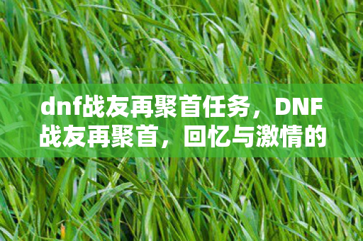 dnf战友再聚首任务,DNF战友再聚首,回忆与激情的碰撞 dnf战友再聚首任务,DNF战友再聚首,回忆与激情的碰撞