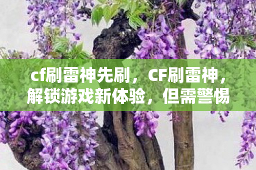 cf刷雷神先刷,CF刷雷神,解锁游戏新体验,但需警惕风险 cf刷雷神先刷,CF刷雷神,解锁游戏新体验,但需警惕风险