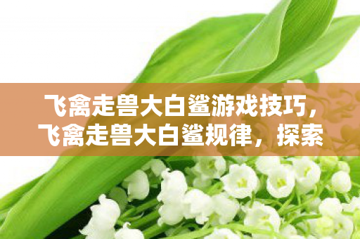 飞禽走兽大白鲨游戏技巧,飞禽走兽大白鲨规律,探索游戏世界的奥秘 飞禽走兽大白鲨游戏技巧,飞禽走兽大白鲨规律,探索游戏世界的奥秘