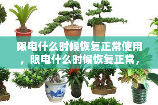 限电什么时候恢复正常使用,限电什么时候恢复正常,深度解析与应对策略 限电什么时候恢复正常使用,限电什么时候恢复正常,深度解析与应对策略