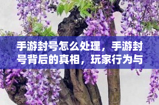 手游封号怎么处理,手游封号背后的真相,玩家行为与系统检测的博弈 手游封号怎么处理,手游封号背后的真相,玩家行为与系统检测的博弈