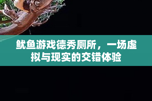 鱿鱼游戏德秀厕所,一场虚拟与现实的交错体验 鱿鱼游戏德秀厕所,一场虚拟与现实的交错体验