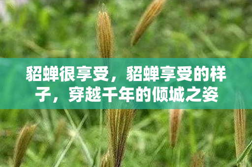 貂蝉很享受,貂蝉享受的样子,穿越千年的倾城之姿 貂蝉很享受,貂蝉享受的样子,穿越千年的倾城之姿