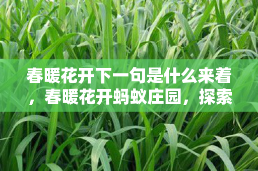 春暖花开下一句是什么来着，春暖花开蚂蚁庄园，探索数字时代的乡村治理新路径