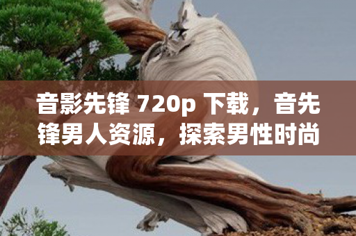 音影先锋 720p 下载,音先锋男人资源,探索男性时尚与生活的无限可能 音影先锋 720p 下载,音先锋男人资源,探索男性时尚与生活的无限可能