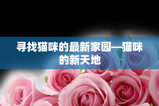 寻找猫咪的最新家园—猫咪的新天地