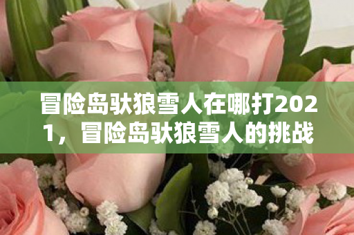 冒险岛驮狼雪人在哪打2021,冒险岛驮狼雪人的挑战之地 冒险岛驮狼雪人在哪打2021,冒险岛驮狼雪人的挑战之地