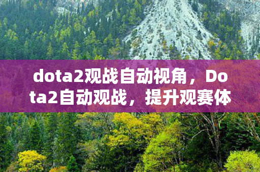 dota2观战自动视角,Dota2自动观战,提升观赛体验的新利器 dota2观战自动视角,Dota2自动观战,提升观赛体验的新利器