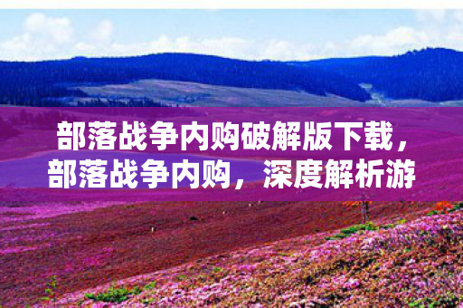 部落战争内购破解版下载，部落战争内购，深度解析游戏内购机制与玩家策略