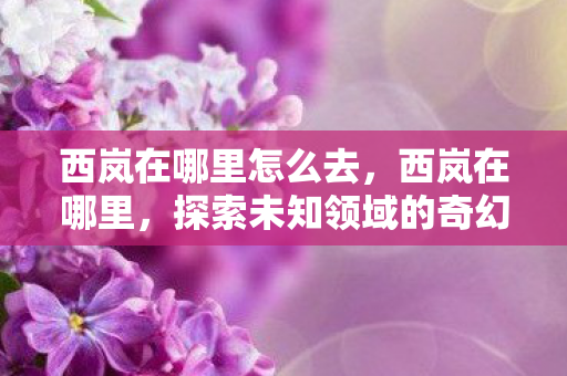 西岚在哪里怎么去,西岚在哪里,探索未知领域的奇幻之旅 西岚在哪里怎么去,西岚在哪里,探索未知领域的奇幻之旅