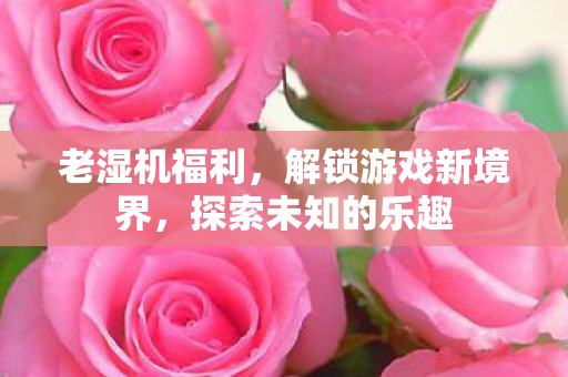 老湿机福利,解锁游戏新境界,探索未知的乐趣 老湿机福利,解锁游戏新境界,探索未知的乐趣