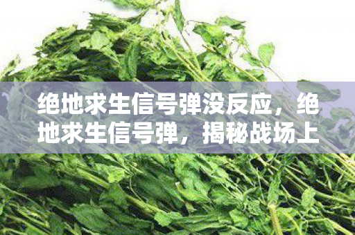 绝地求生信号弹没反应,绝地求生信号弹,揭秘战场上的神秘信号 绝地求生信号弹没反应,绝地求生信号弹,揭秘战场上的神秘信号